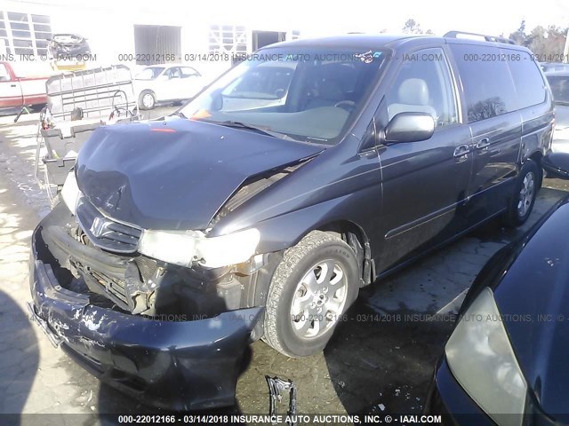 5FNRL18003B057572 - 2003 HONDA ODYSSEY EXL SILVER photo 2