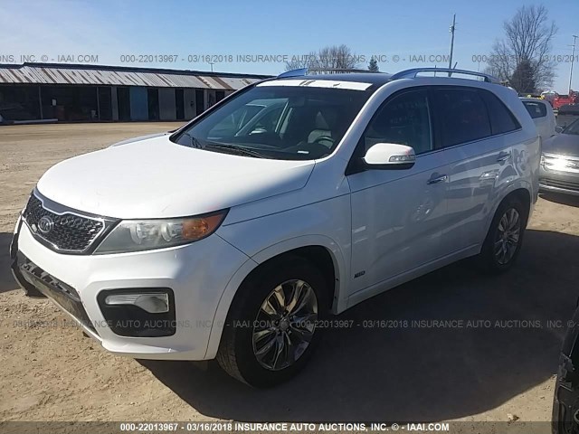 5XYKWDA24BG163259 - 2011 KIA SORENTO SX WHITE photo 2