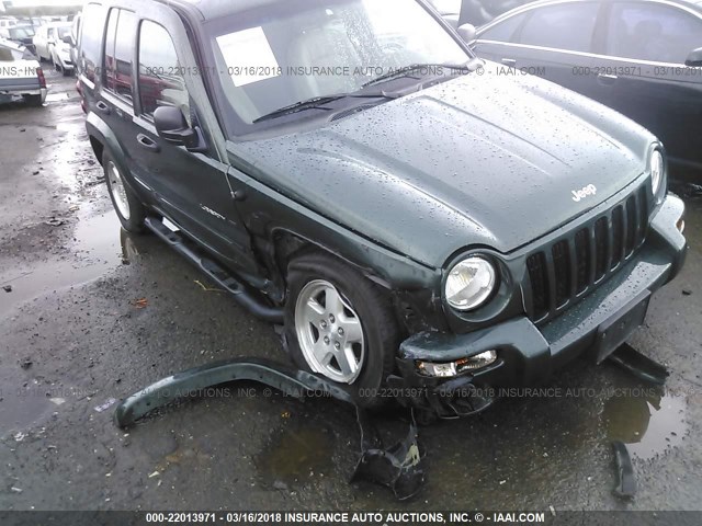 1J8GL58K02W329105 - 2002 JEEP LIBERTY LIMITED GREEN photo 6