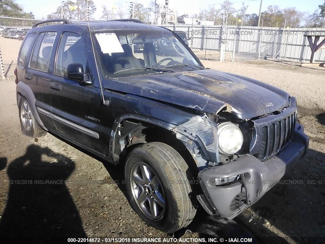 1J4GL48K12W317198 - 2002 JEEP LIBERTY SPORT BLUE photo 1