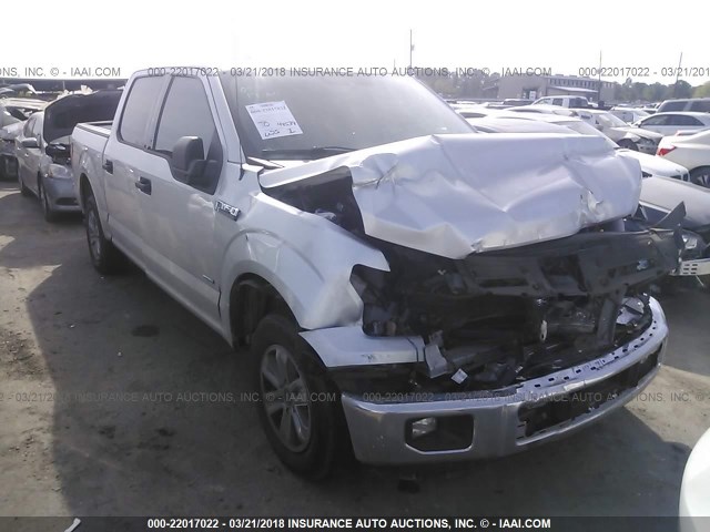 1FTEW1CG0GKD45126 - 2016 FORD F150 SUPERCREW SILVER photo 1