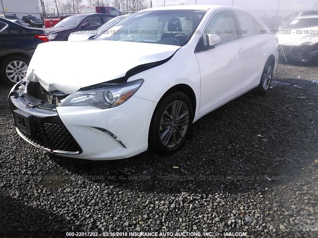 4T1BF1FK3GU241569 - 2016 TOYOTA CAMRY LE/XLE/SE/XSE WHITE photo 2