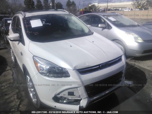 1FMCU0J91EUE53716 - 2014 FORD ESCAPE TITANIUM WHITE photo 1