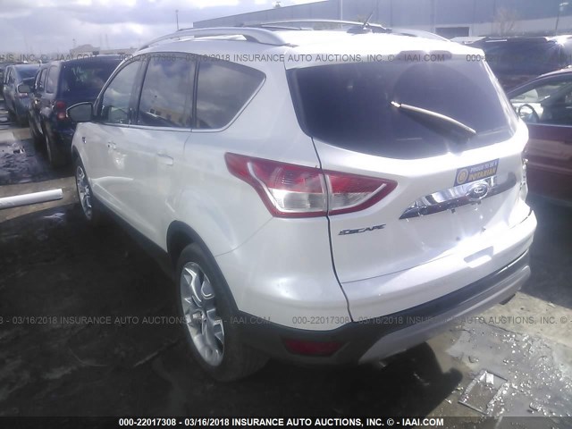 1FMCU0J91EUE53716 - 2014 FORD ESCAPE TITANIUM WHITE photo 3