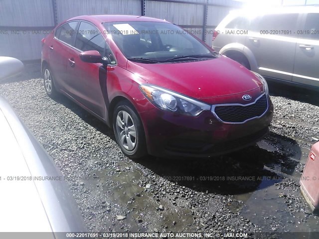 KNAFK4A65G5566003 - 2016 KIA FORTE LX RED photo 1