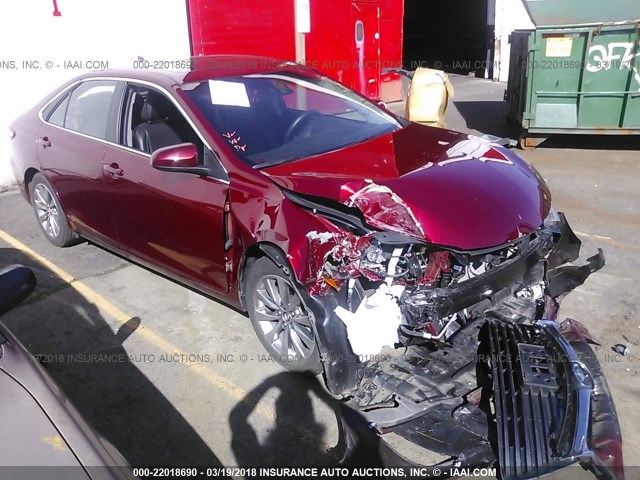 4T1BF1FK5GU581337 - 2016 TOYOTA CAMRY LE/XLE/SE/XSE RED photo 1