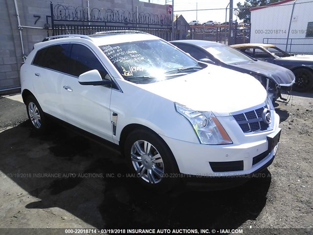 3GYFNAEY7BS646190 - 2011 CADILLAC SRX LUXURY COLLECTION WHITE photo 1