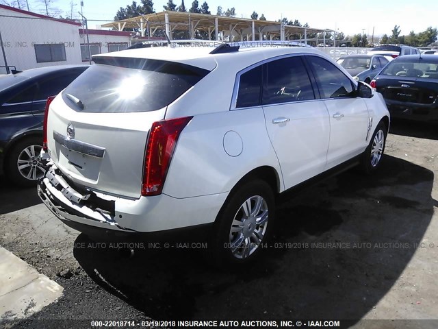 3GYFNAEY7BS646190 - 2011 CADILLAC SRX LUXURY COLLECTION WHITE photo 4