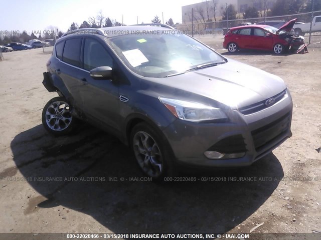 1FMCU0JX1EUA89537 - 2014 FORD ESCAPE TITANIUM GRAY photo 1