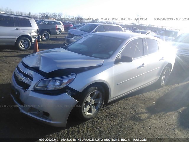 1G11B5SA8DF189753 - 2013 CHEVROLET MALIBU LS 银色 照片 2