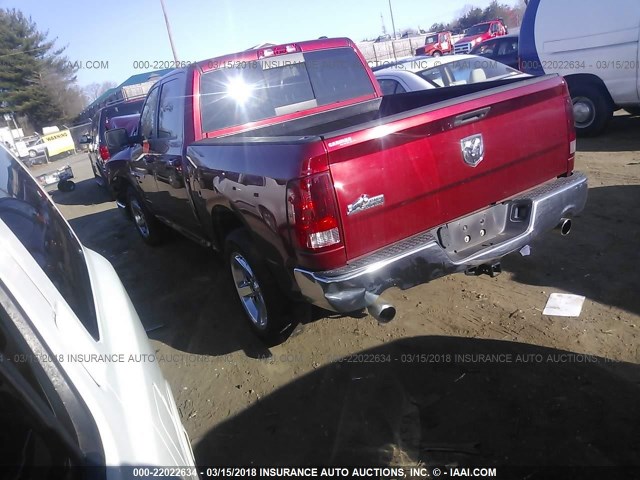 1D7RB1CTXBS569741 - 2011 DODGE RAM 1500 RED photo 3