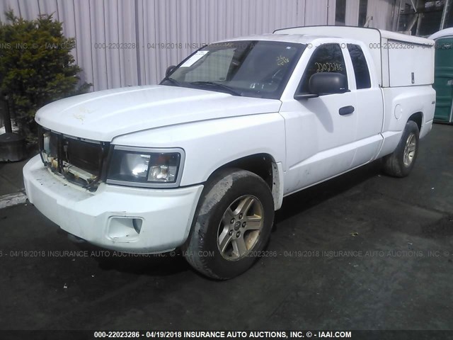 1D7CW3BK6AS199532 - 2010 DODGE DAKOTA SXT WHITE photo 2