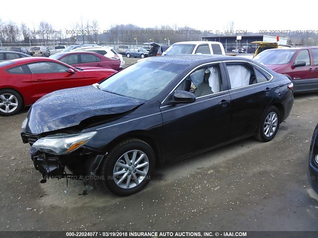 4T1BF1FK8HU363247 - 2017 TOYOTA CAMRY LE/XLE/SE/XSE BLACK photo 2