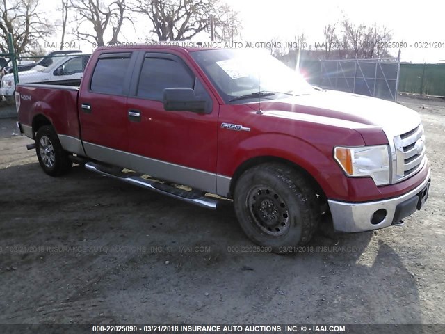 1FTRW14899KA00382 - 2009 FORD F150 SUPERCREW RED photo 1