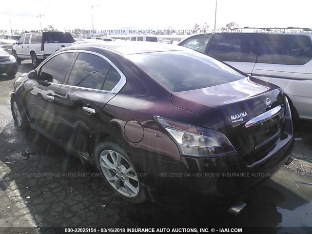 1N4AA5AP4EC907498 - 2014 NISSAN MAXIMA S/SV PURPLE photo 3