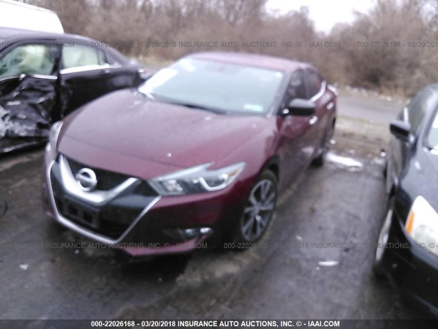 1N4AA6AP8GC439736 - 2016 NISSAN MAXIMA 3.5S/SV/SL/SR/PLAT RED photo 2