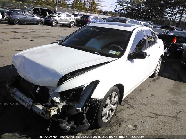 1HGCP36858A077333 - 2008 HONDA ACCORD EXL WHITE photo 2