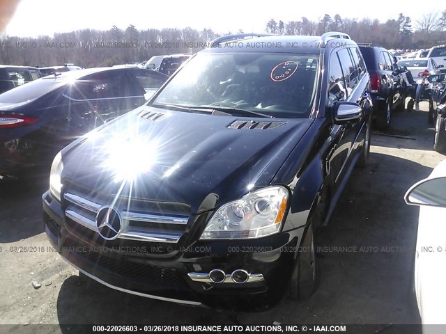 4JGBF7BE3AA534819 - 2010 MERCEDES-BENZ GL 450 4MATIC BLACK photo 2