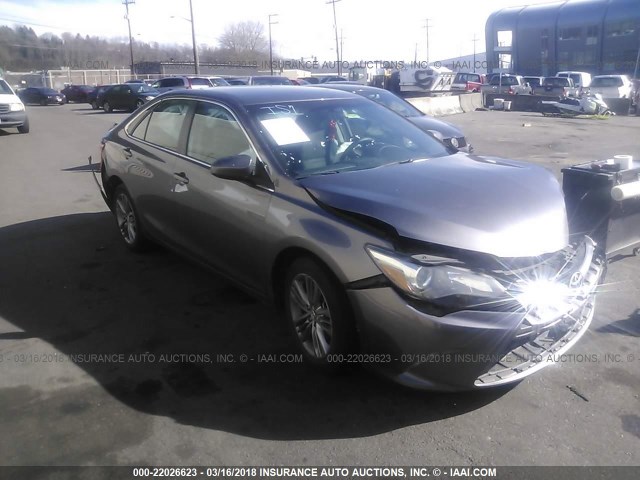 4T1BF1FKXFU926599 - 2015 TOYOTA CAMRY LE/XLE/SE/XSE Grau Foto 1