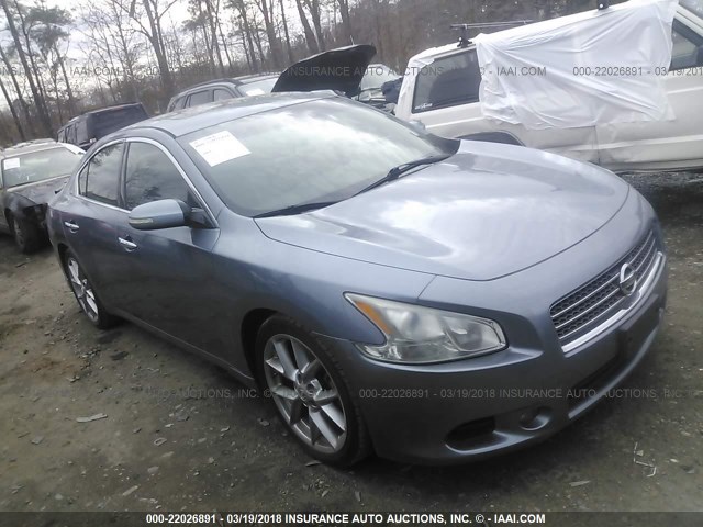 1N4AA5AP5AC807579 - 2010 NISSAN MAXIMA S/SV BLUE photo 1