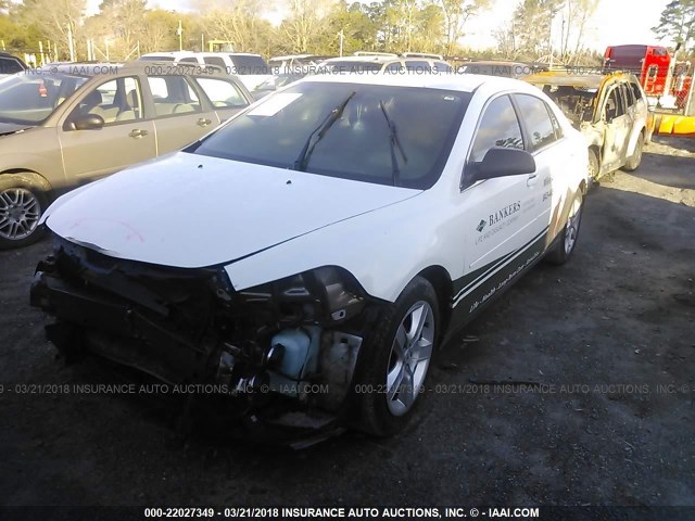 1G1ZB5E02CF324438 - 2012 CHEVROLET MALIBU LS 白色 照片 2