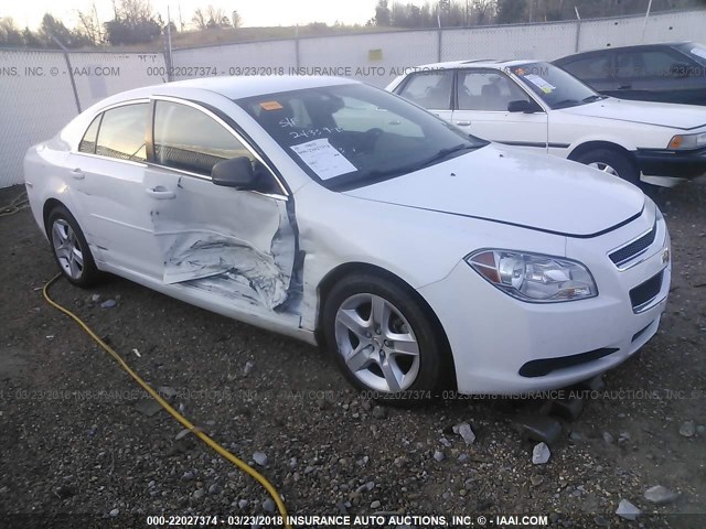 1G1ZB5EB3AF231460 - 2010 CHEVROLET MALIBU LS 白色 照片 1