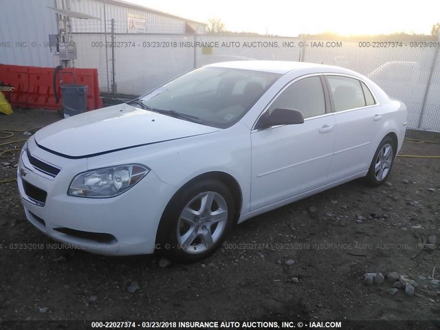 1G1ZB5EB3AF231460 - 2010 CHEVROLET MALIBU LS 白色 照片 2