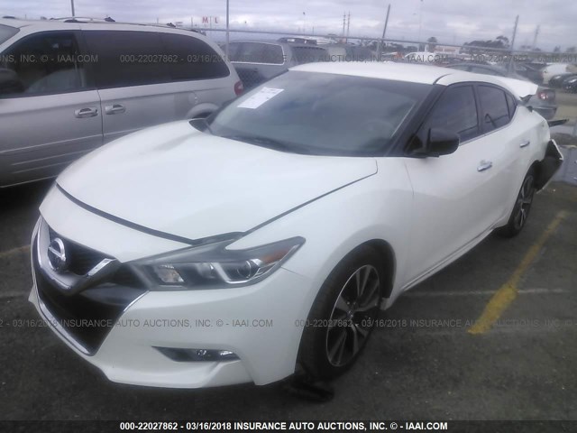 1N4AA6AP3GC379137 - 2016 NISSAN MAXIMA 3.5S/SV/SL/SR/PLAT WHITE photo 2