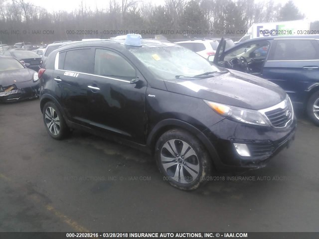 KNDPCCA29B7080030 - 2011 KIA SPORTAGE EX/SX BLACK photo 1