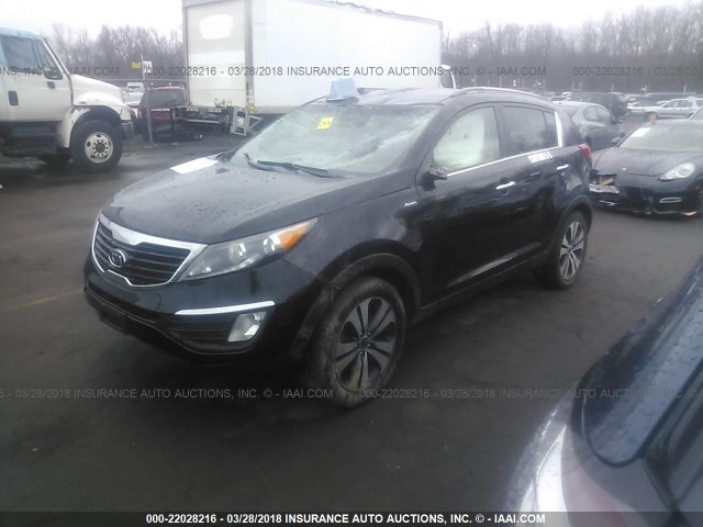 KNDPCCA29B7080030 - 2011 KIA SPORTAGE EX/SX BLACK photo 2