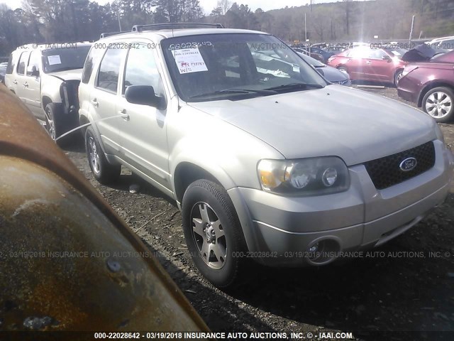 1FMCU04165KB75199 - 2005 FORD ESCAPE LIMITED GRAY photo 1