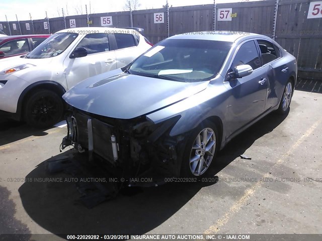 1N4AA5AP0AC802287 - 2010 NISSAN MAXIMA S/SV BLUE photo 2