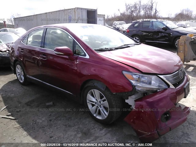 JTHBB1BA1B2043444 - 2011 LEXUS HS 250H RED photo 1