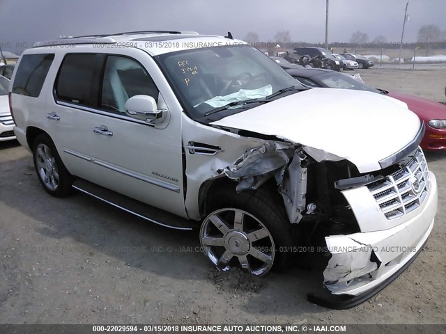 1GYUKBEF4AR205090 - 2010 CADILLAC ESCALADE LUXURY 白色 照片 1