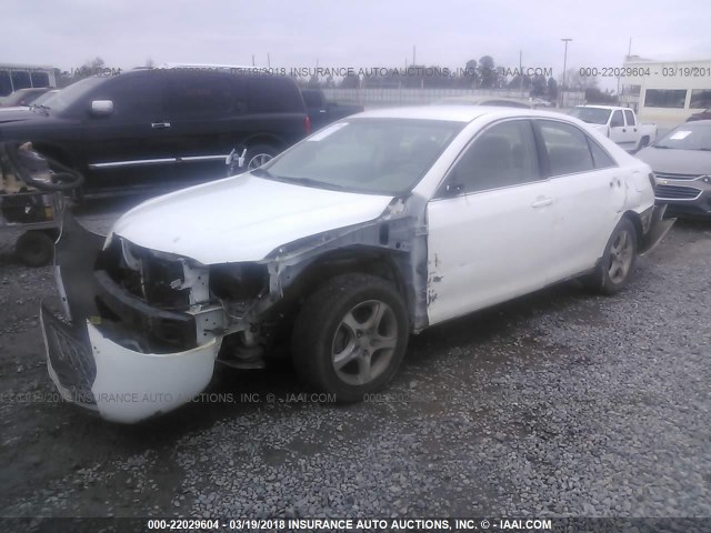 4T1BE46K47U510750 - 2007 TOYOTA CAMRY NEW GENERAT CE/LE/XLE/SE WHITE photo 2