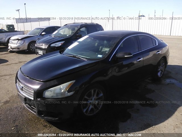 1N4AA5AP1BC834022 - 2011 NISSAN MAXIMA S/SV PURPLE photo 2