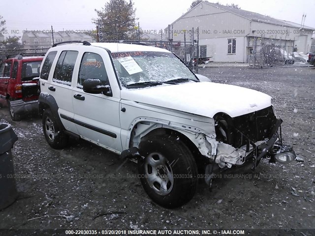 1J4GL48K66W230984 - 2006 JEEP LIBERTY SPORT Ağ foto 1