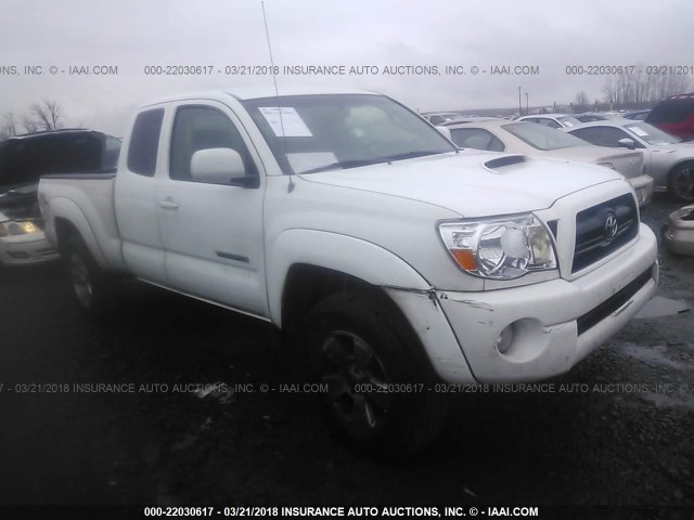 5TEUU42NX5Z009589 - 2005 TOYOTA TACOMA ACCESS CAB Ақ фото 1