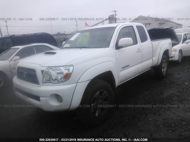 5TEUU42NX5Z009589 - 2005 TOYOTA TACOMA ACCESS CAB Ақ фото 2