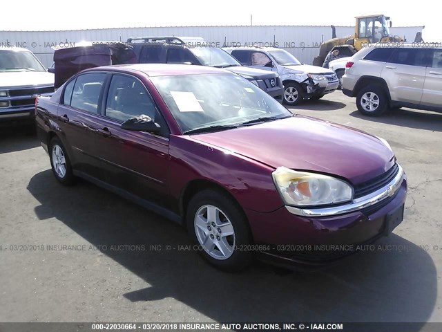 1G1ZT52885F148182 - 2005 CHEVROLET MALIBU LS 红色 照片 1