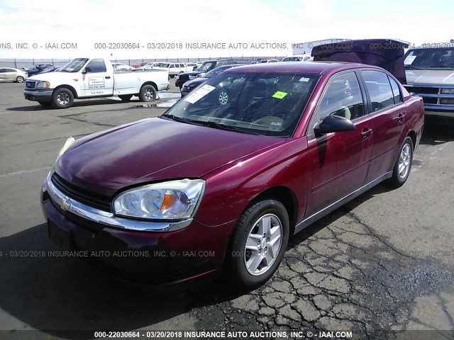 1G1ZT52885F148182 - 2005 CHEVROLET MALIBU LS 红色 照片 2