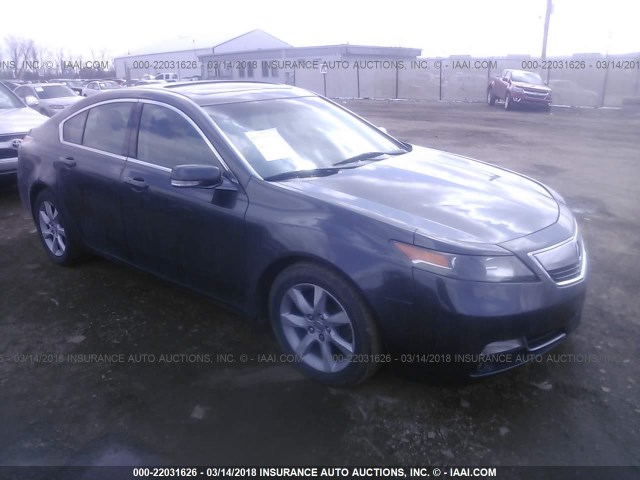 19UUA8F54DA016588 - 2013 ACURA TL TECH GRAY photo 1