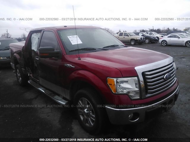 1FTFW1CV9AFD25301 - 2010 FORD F150 SUPERCREW RED photo 1