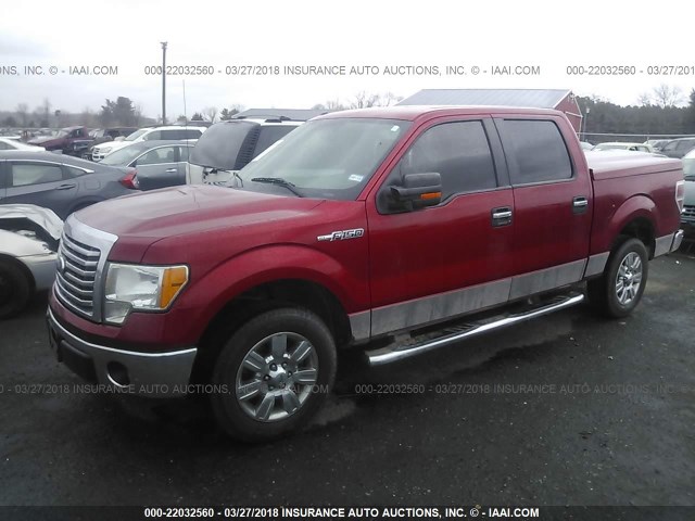 1FTFW1CV9AFD25301 - 2010 FORD F150 SUPERCREW RED photo 2