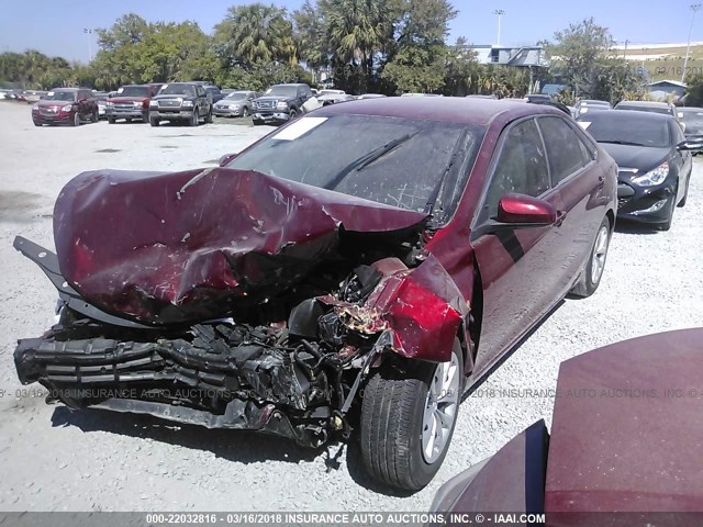 4T1BF1FK8HU733063 - 2017 TOYOTA CAMRY LE/XLE/SE/XSE BLACK photo 2