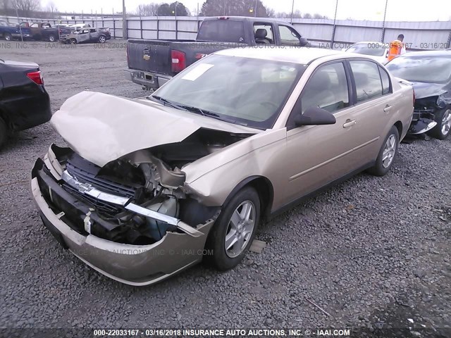1G1ZT52805F268350 - 2005 CHEVROLET MALIBU LS GOLD photo 2