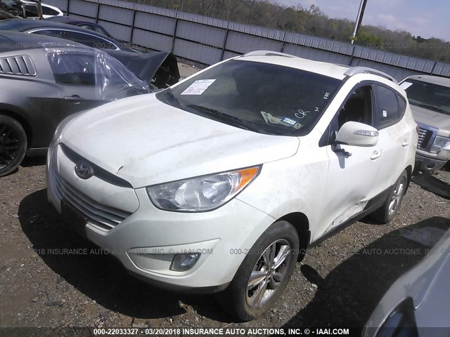 KM8JU3AC2DU561586 - 2013 HYUNDAI TUCSON GLS/LIMITED WHITE photo 2