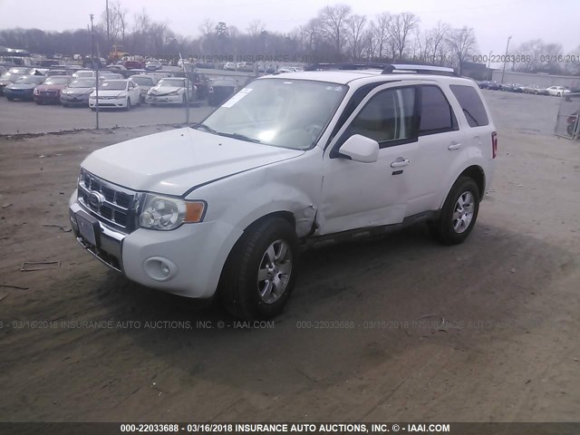 1FMCU9EG3AKC04689 - 2010 FORD ESCAPE LIMITED WHITE photo 2