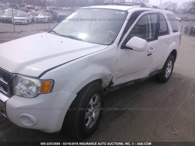 1FMCU9EG3AKC04689 - 2010 FORD ESCAPE LIMITED WHITE photo 6