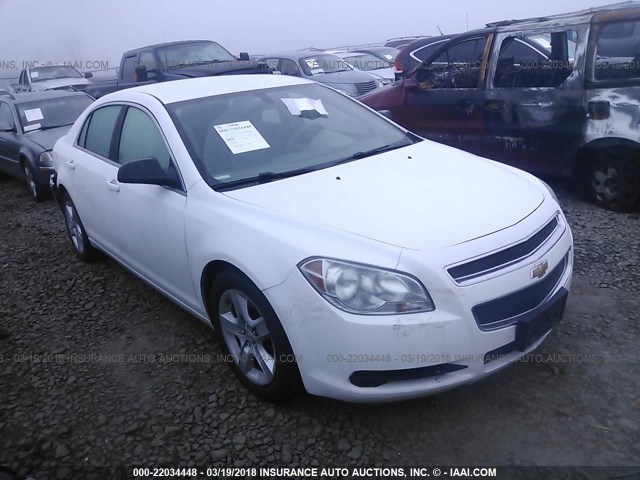 1G1ZA5EB1AF303386 - 2010 CHEVROLET MALIBU LS 白色 照片 1